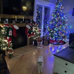 Melinda Park - Facebook