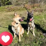 Melinda Parrish - @melinda.parrish.39 - Instagram