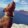 Melissa.Pickering - @melissa.pickering - TikTok
