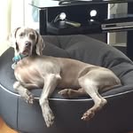 Melinda Rule - @lindy.rule - Instagram