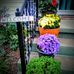 Melinda Setzer - Facebook