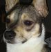 Melinda Small - Facebook