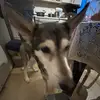 Melindastyles28 - @melindastyles4 - TikTok