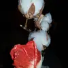 MelindaStylesPeters - @melindastylespeters - TikTok