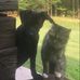 Melinda VanMeter - Facebook