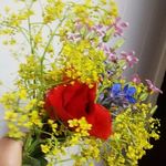 Melis Agaoglu 3466 - @melisaqwyx - Instagram