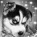 Melisa Black - Facebook
