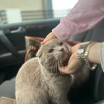 Melisa_Deana - @melisa_kolgjini - Instagram