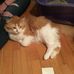 Melissa Dunlop - Facebook