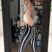 Melisa Hailey - Facebook