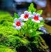 Melisa Hernandez - Facebook