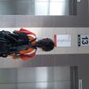 melisa._.ho - @melisa.ho - TikTok