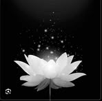 MeLissa Ho - Facebook