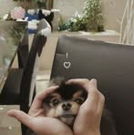 Melisa Kim - Facebook