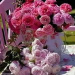 melisa_kırkagac - @melisa_kirkagac19 - Instagram