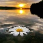 melisa koşar - @melisakosar4 - Instagram