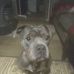 Melisa Lawrence - Facebook
