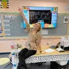 melisa solis - @melisa.solis16 - TikTok