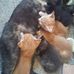 Melisa Stephens - Facebook