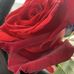 Melisha Williams - Facebook