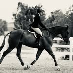 Melissa Acker - @melissaackereq - Instagram
