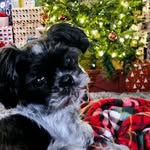 Melissa Acker - @macker1248 - Instagram