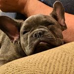 Melissa Adcock - @melissa.adcock.790 - Instagram