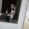 growthmelissa - @melissaakin - TikTok