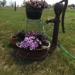 Melissa Akin - @melissaakin1376 - Instagram
