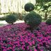 Melissa Alger - Facebook