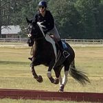 Melissa Althouse - @maalthouse - Instagram