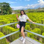 Melissa Amador - @melissa.amador.7771 - Instagram