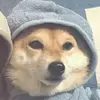 Meliii - @melissaangulo12 - TikTok
