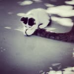 Melissa_Appel - @melissa_appel20 - Instagram