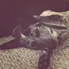 melissaappel67 - @melissaappel67 - TikTok