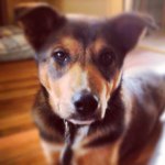 Melissa Archibald - @archibald1527 - Instagram