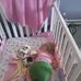 Melissa Argetsinger - Facebook