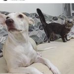 Melissa_baby&ArmanyMio - @melissaearmany_ - Instagram