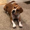 Melissa Arndt - @melissa61974 - TikTok