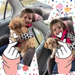 Melissa Amos Arney - @sammecurt02 - Instagram