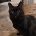 Melissa Arney - Facebook