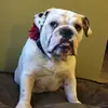 missy - @melissaarreguin6 - TikTok