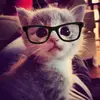 melissaash - @mishmelissk - TikTok