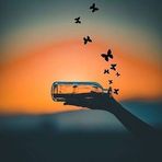 Melissa Ashburn - Facebook