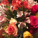 Melissa Matolina-Ashburn - Facebook
