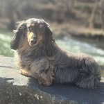 Tom-Melissa Atchison - @tommelissaatchison - Instagram