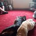 Melissa Atherton - Facebook