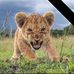 Melissa Atwell - Facebook