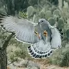 Melissa Atwell - @melissa.atwell - TikTok