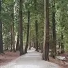 melissaauer690 - @melissaauer690 - TikTok